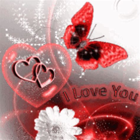 Butterfly I Love You Live Wallpaperappstore For Android