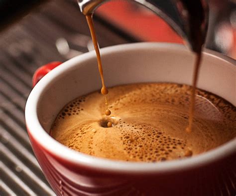 Mr Coffee Espresso Clearance Prices Save 52 Jlcatjgobmx
