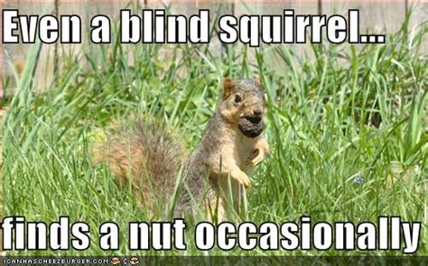 Even A Blind Squirrel Finds A Nut Occasionally Cheezburger Funny