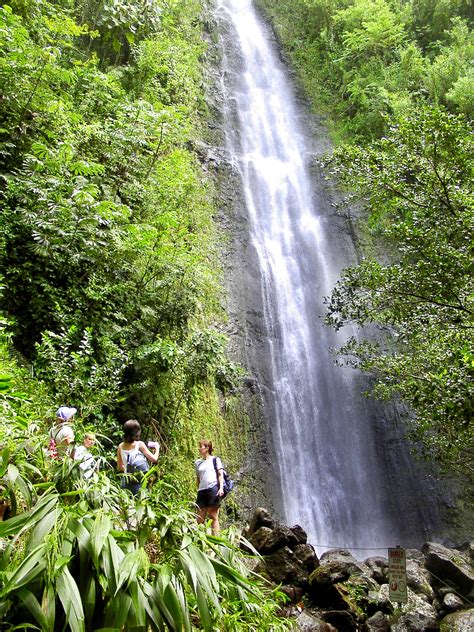9 Jurassic Park Waterfall Adventure Oahu Nature Tours