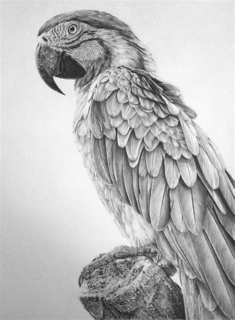 Ferhat edizkan is an artist who uses an extraordinary technique in his drawings. Top 10 Best Pencil Artists in the World