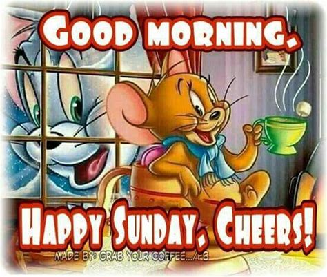 Good Morning Happy Sunday Cheers Pictures Photos And Images For