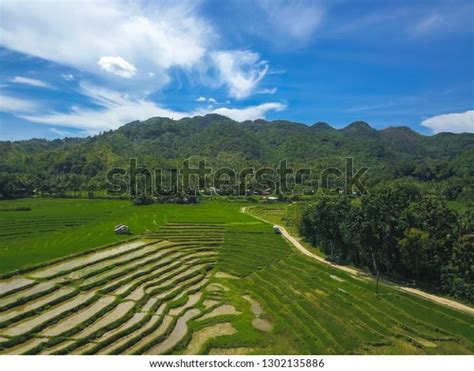 Cadapdapan Rice Terraces Candijay Bohol Stock Photo 1302135886