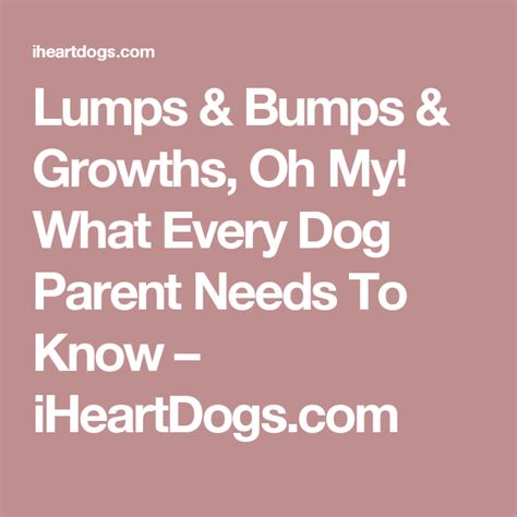 What Every Dog Parent Should Know When They Find Lumps On Their Dog