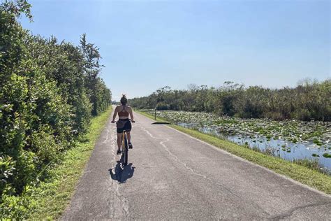 Biking In The Everglades 3 Best Bike Trails In Everglades National Park