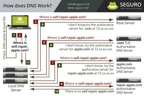 How Does Dns Work Cheatsheet Infographic Seguro Cyber Security