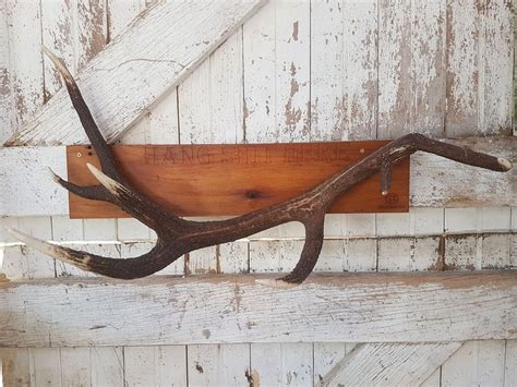 They are ideal for a small hallway and would have compatibility at the. Antler coat rack with custom engraved text. Made from ...