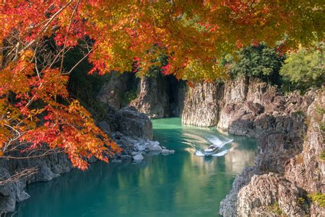 보고 즐기기 요시노쿠마노 국립공원 일본의 국립공원
