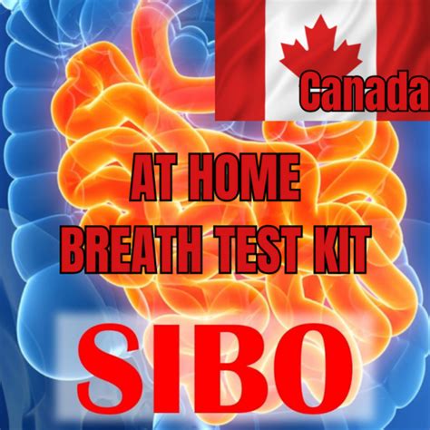 Canada Sibo Test At Home Breath Test Jd Nutrition