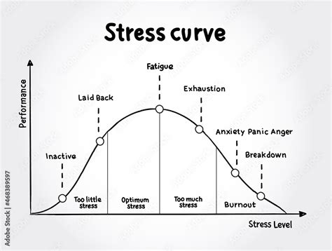 Different Stages Of The Stress Curve Educational Diagram Concept For