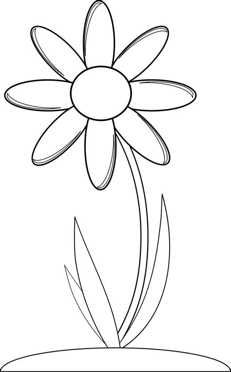 Flower Coloring Png Coloring Pages