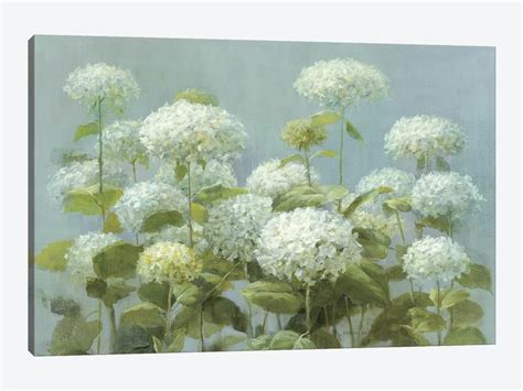 White Hydrangea Garden Canvas Wall Art By Danhui Nai Icanvas White