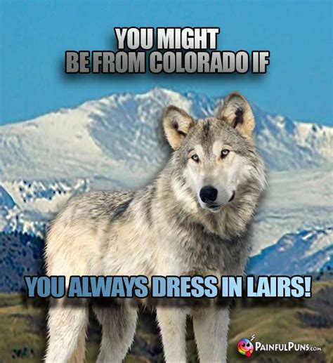 Top 154 Funny Wolf Puns