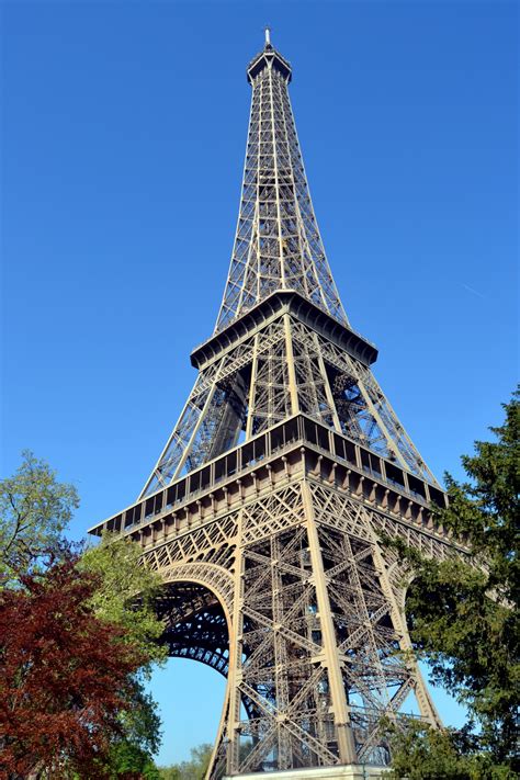 Gambar Pohon Langit Paris Perancis Musim Semi Tengara Menara