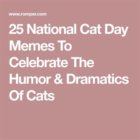 25 National Cat Day Memes To Celebrate The Humor And Dramatics Of Cats