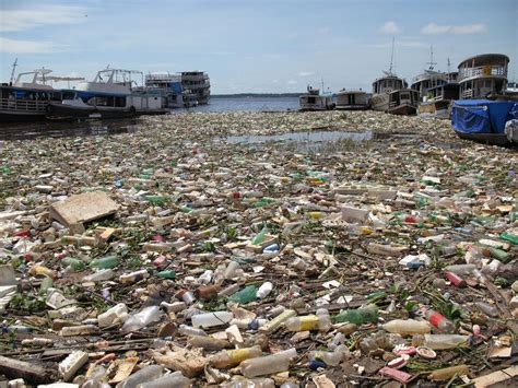 Cómo Llega El Plástico Al Mar Causas Y Consecuencias Renovables Verdes