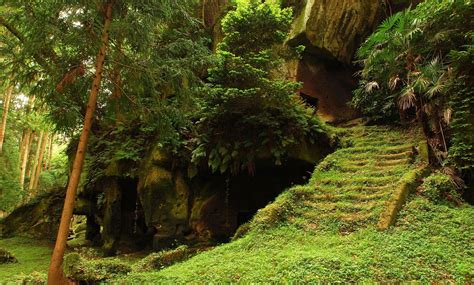 Old Caves In Jungle Forest Wallpaper Nature And Landscape Wallpaper
