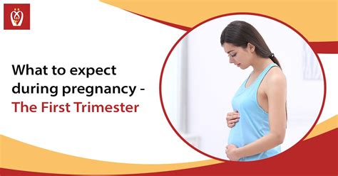 What To Expect During Pregnancy The First Trimester Nurturey Blog
