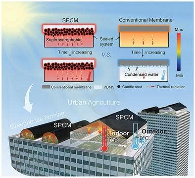 Hierarchically Nanostructured Janus Membranes Toward Sustainable And