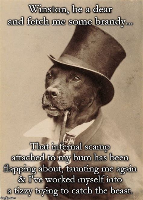 Old Money Dog Discovers His Tail Funny Dog Memes Old Money Dog
