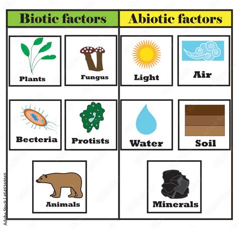 Biotic And Abiotic Factors Diagram Nature Ecosystem Study And