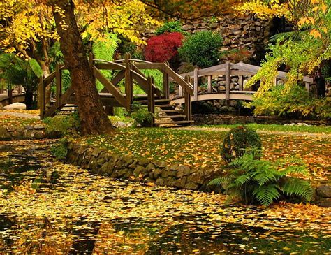 Autumn Park Colorful Autumn Bonito Leaves Nice Bridge Path