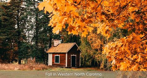 Best Place to Live to Experience All Four Seasons