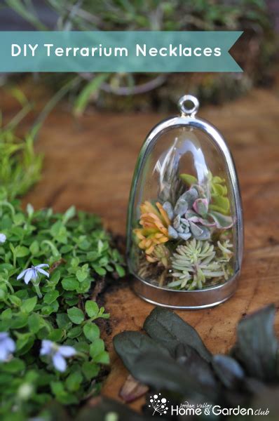 The Living Necklace Terrarium Necklace Diy