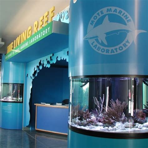 Florida Keys Eco Discovery Center Locations Mote Marine Laboratory