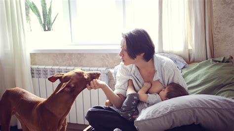 Signs Youre Pregnant While Breastfeeding Can Be Easy To Miss Experts Say
