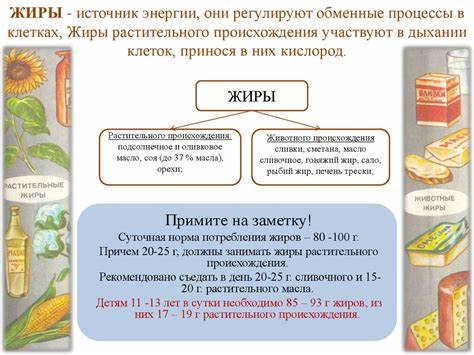 Физиология питания диета Физиология питания. (Технология, 5 класс) - презентация онлайн Физиология питания. (Технология, 5 класс) - презентация онлайн Физиология питания диета