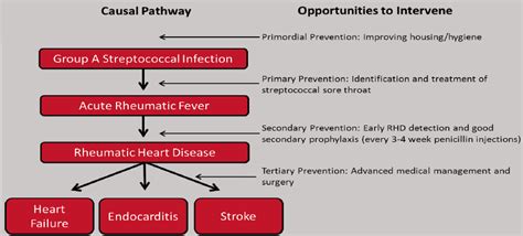 Pin by nonas arc on Rheumatic Heart Disease | Medication management