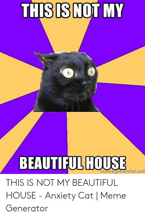 This Is Not My Beautiful House Memegeneratornet This Is Not My Beautiful House Anxiety Cat