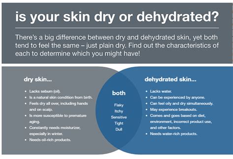 Dry Vs Dehydrated Skin Whats The Difference — Posh Lifestyle