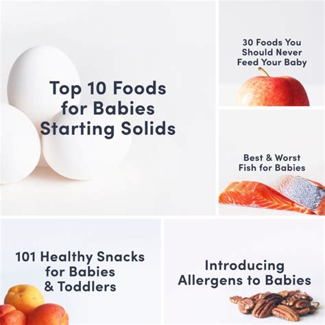 Guides & Bundles for Introducing Solid Food to Babies - Solid Starts