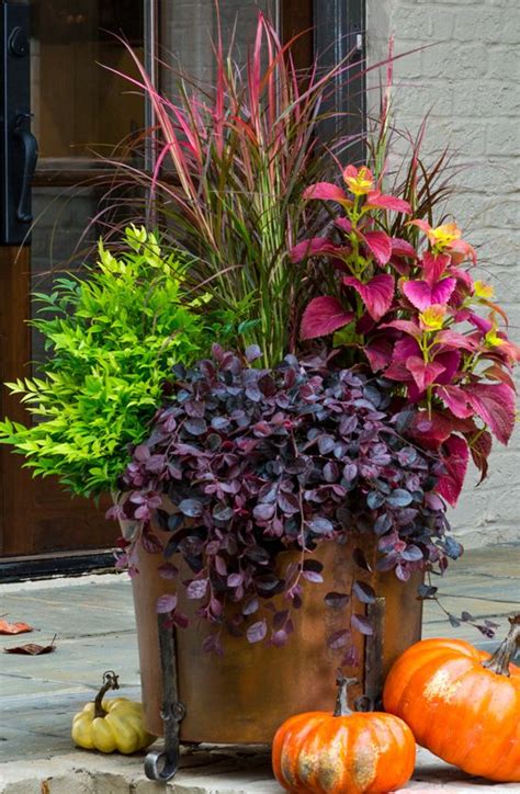 5 Fall Container Gardening Ideas For Your Patio Ideas And Inspiration