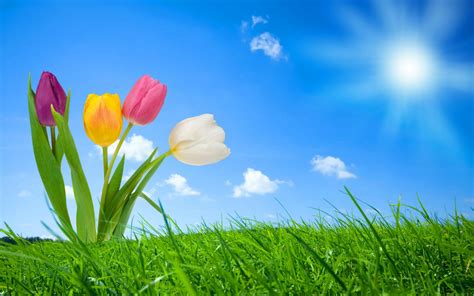 76 Spring Desktop Wallpapers Amazing Collection On