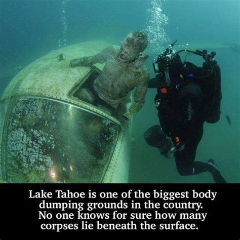 List 91 Wallpaper Pictures Of Bodies In Lake Tahoe Updated 102023