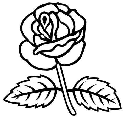 5,144 rose vine premium high res photos. Rose Vine Coloring Pages Coloring Pages