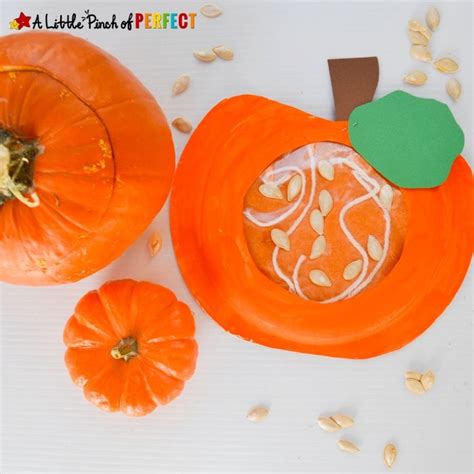 Learning About Whats Inside A Pumpkin Paper Plate Kids Craft A