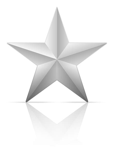 Premium Vector Silver Star