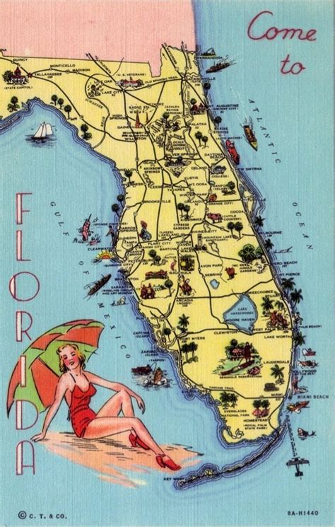 Vintage Florida Postcard Come To Florida Unused