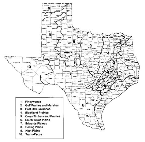 Texas Cities Map Poster Texas Map With Cities And