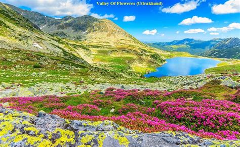 Valley Of Flowers Uttarakhand India Travel