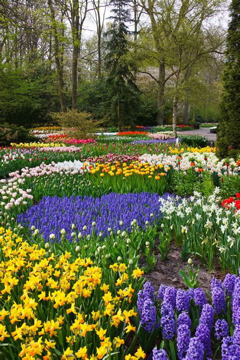 Colorful Flower Garden Free Stock Photo Public Domain