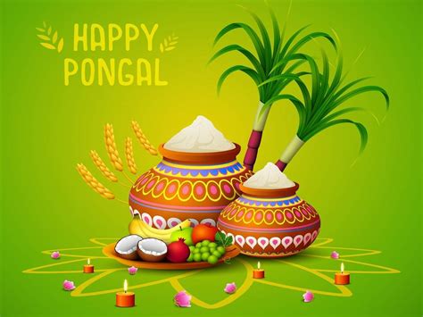 Collection Of Over 999 Incredible 4k Happy Pongal Wishes Images