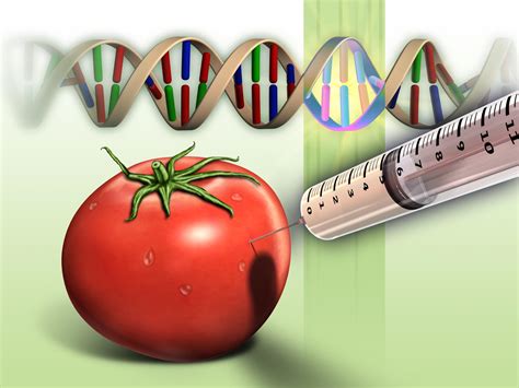 Genetic foods consider being under the microscope due to variety damaging effects on human health. California's Proposition 37 (labeling genetically-modified ...