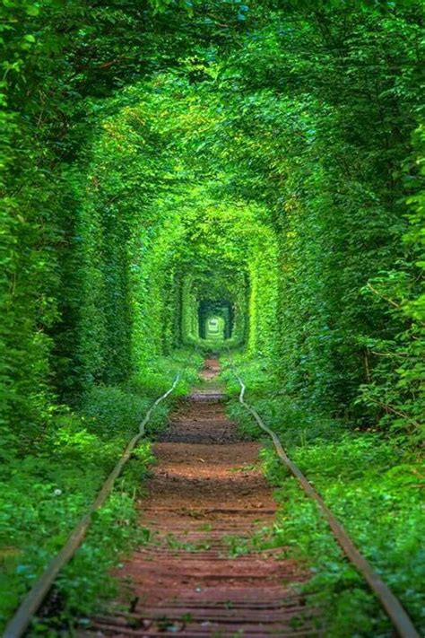 Cool Places To Visit By R On Photo Tunnel Of Love Ukraine Tunnel Of Love