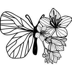 Anda mungkin menyukai postingan ini : Tattoovorlagen Schmetterling - Motive zum Downloaden