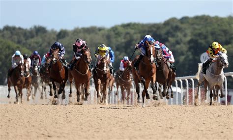 Premier Entry To Newcastle Races Newcastle Racecourse Groupon